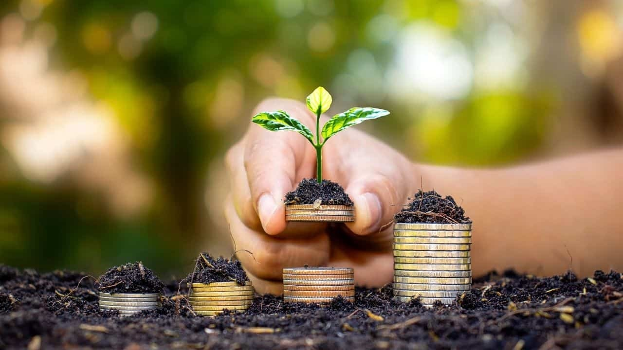 Balancing profits with sustainability