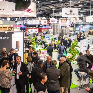 Vinitech-Sifel to take place from November 26 to 28 in the Bordeaux valley