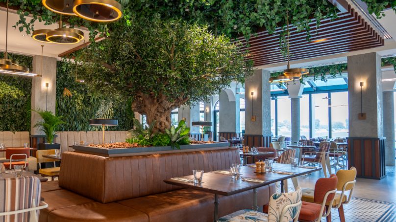 Protected: midar The top bistro interior design trends for 2025