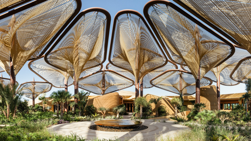 Saudi Arabia’s wellness boom